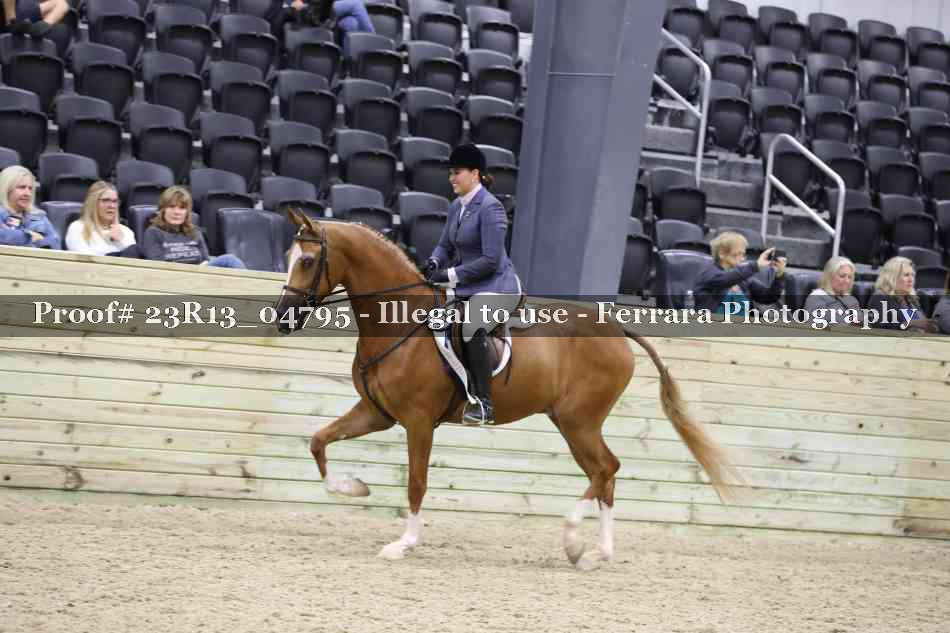 Proof Number 23R13_04795