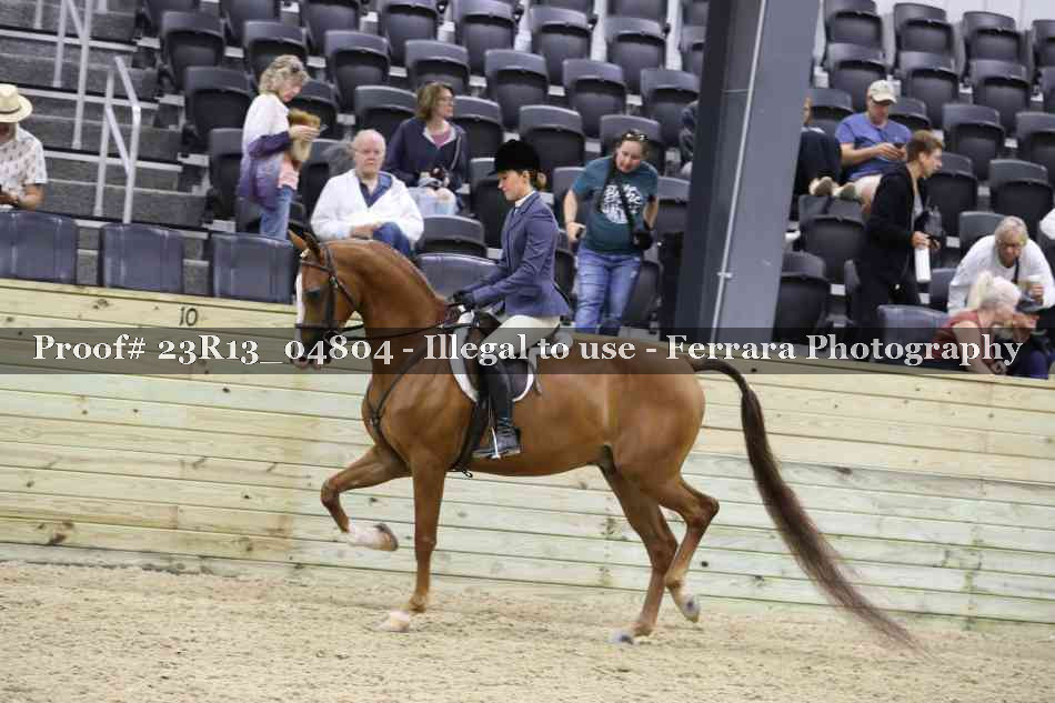Proof Number 23R13_04804