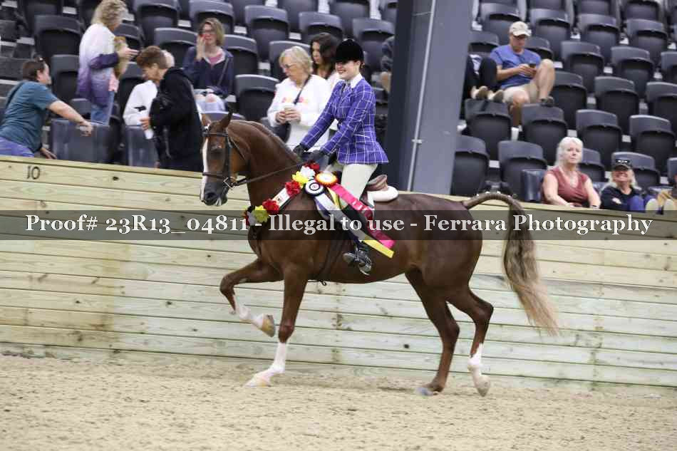 Proof Number 23R13_04811