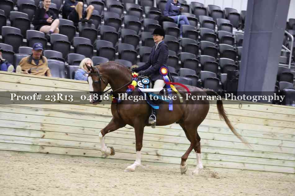 Proof Number 23R13_04818
