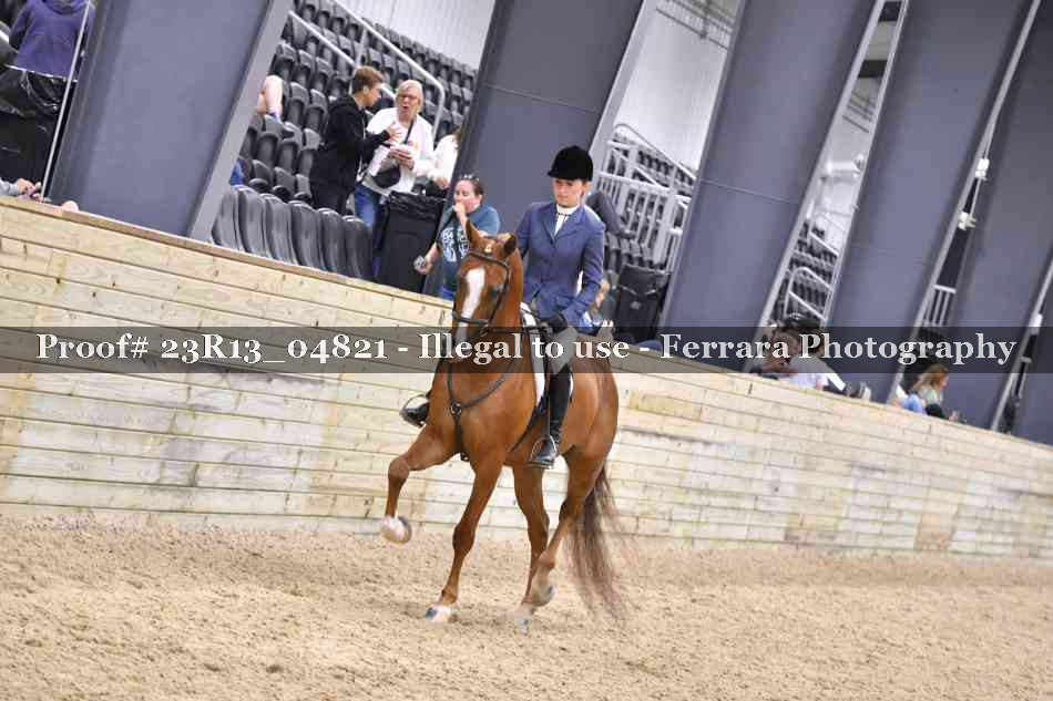Proof Number 23R13_04821