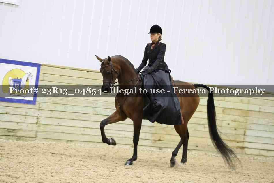 Proof Number 23R13_04854
