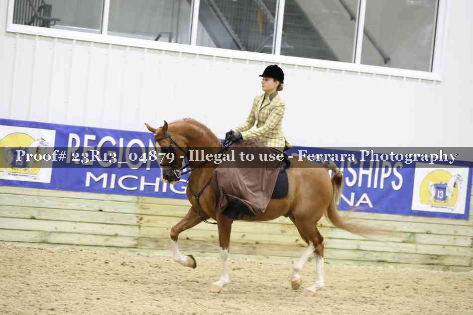 Proof Number 23R13_04879