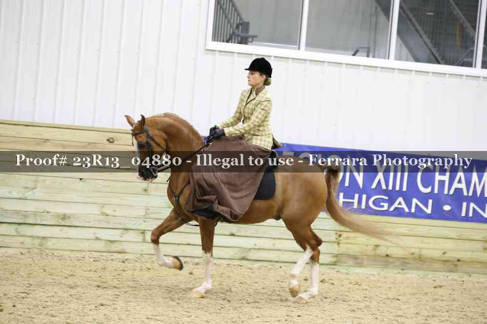 Proof Number 23R13_04880