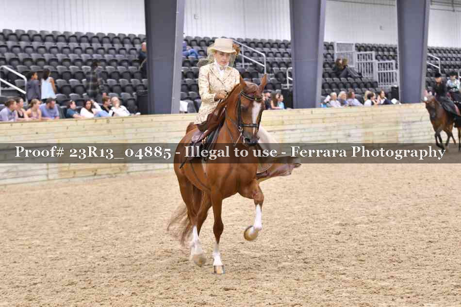 Proof Number 23R13_04885