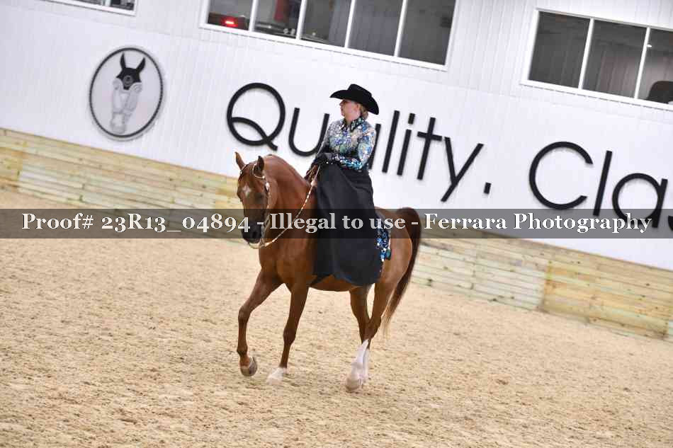 Proof Number 23R13_04894