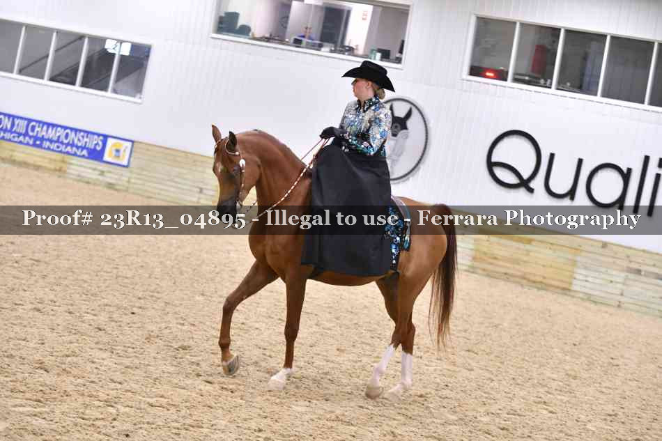 Proof Number 23R13_04895