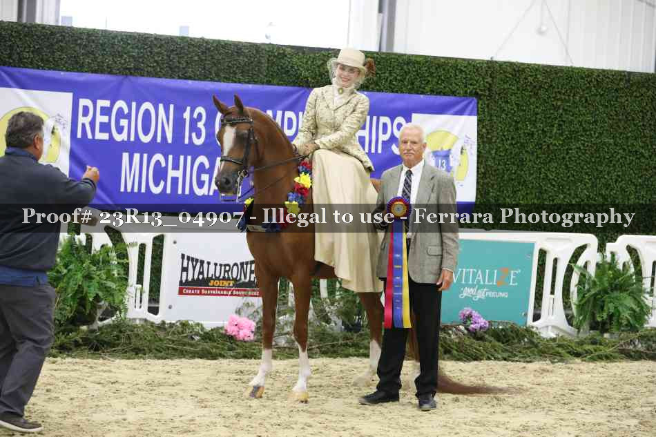 Proof Number 23R13_04907