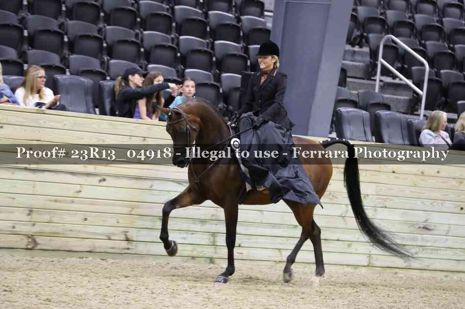 Proof Number 23R13_04918