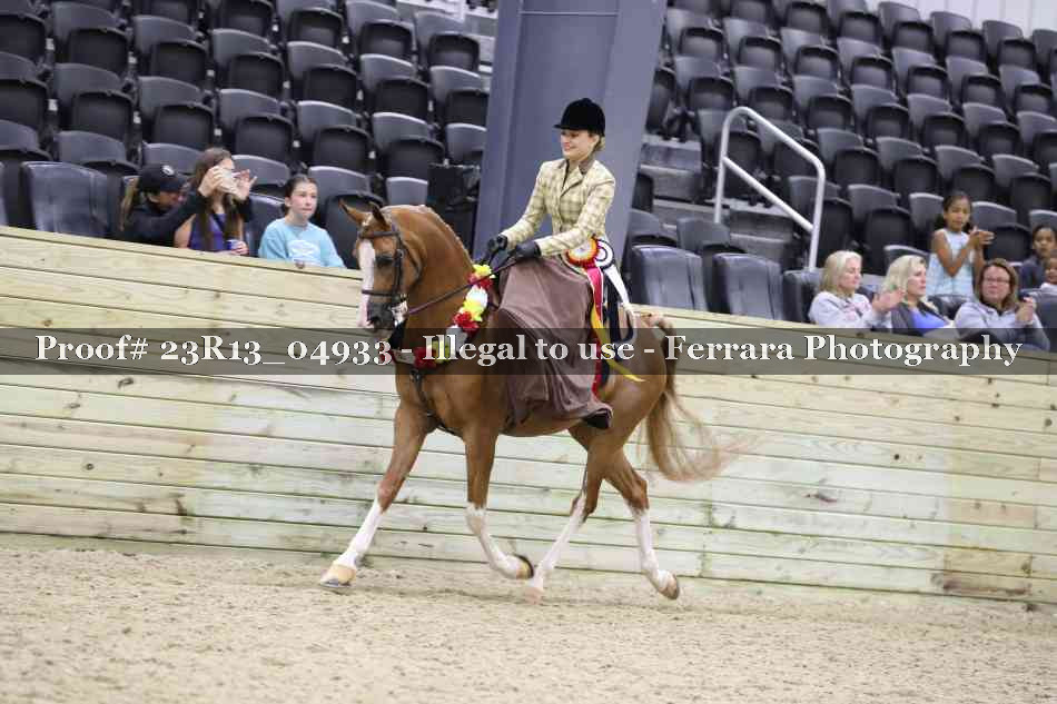 Proof Number 23R13_04933