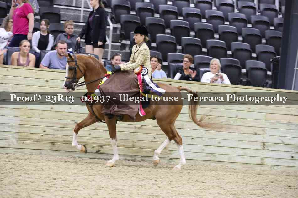 Proof Number 23R13_04937