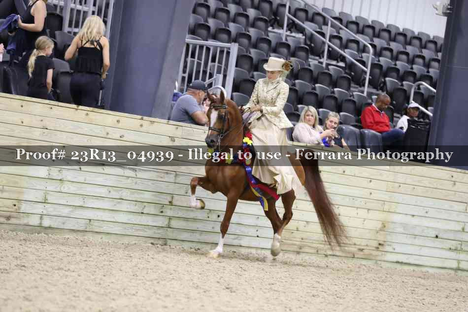 Proof Number 23R13_04939