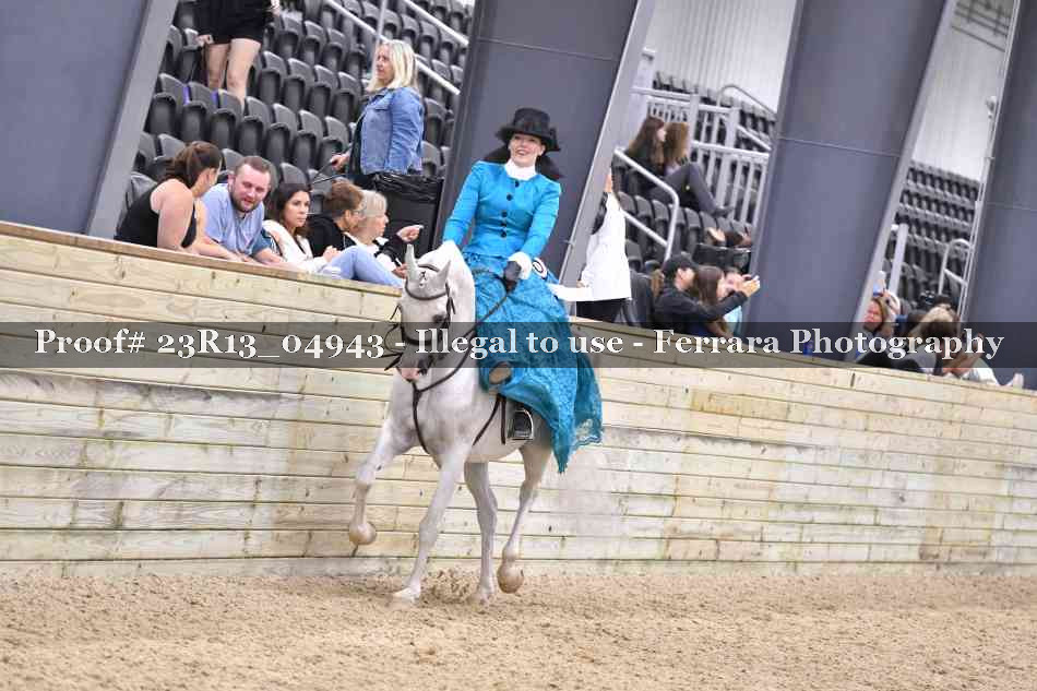 Proof Number 23R13_04943