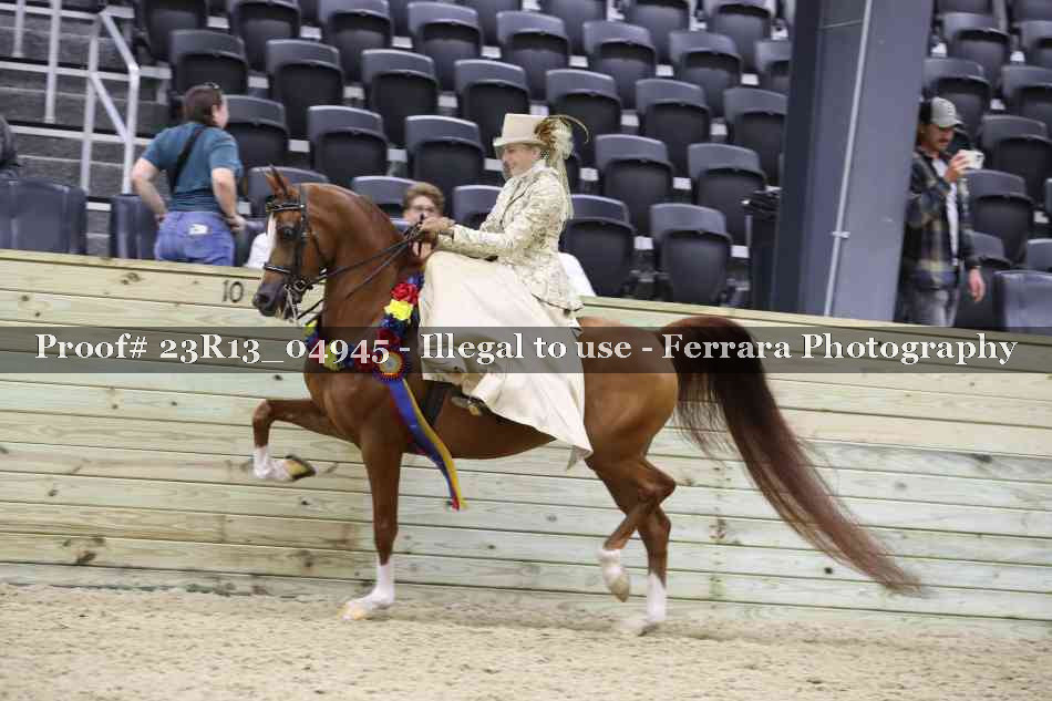 Proof Number 23R13_04945