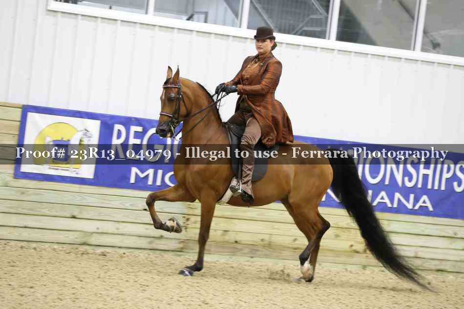 Proof Number 23R13_04979
