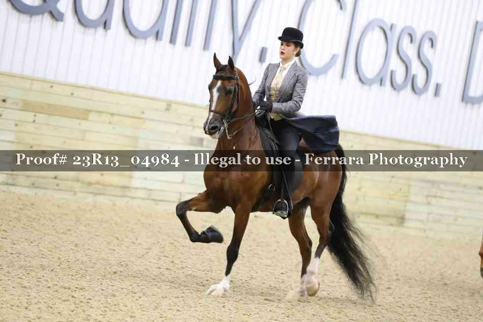 Proof Number 23R13_04984