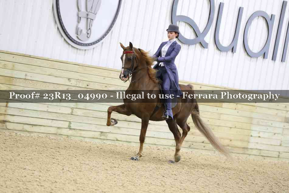 Proof Number 23R13_04990