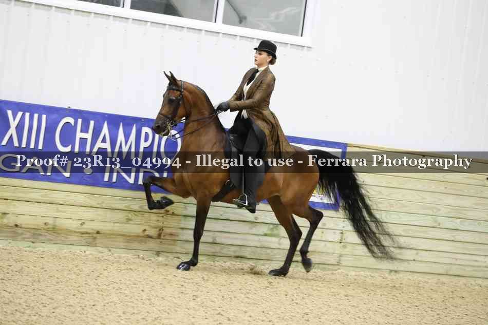Proof Number 23R13_04994