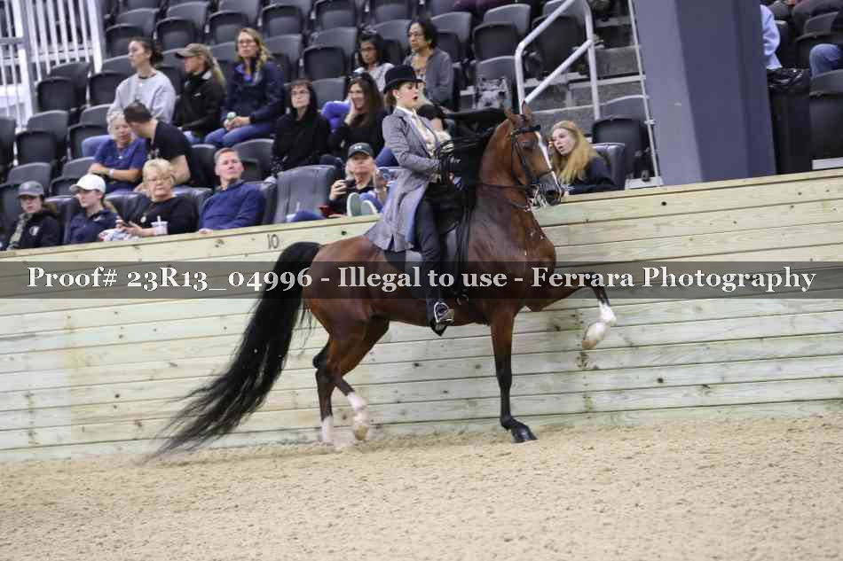 Proof Number 23R13_04996