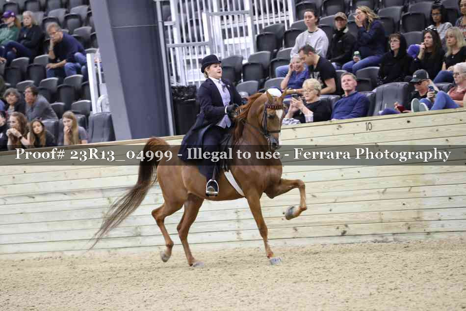 Proof Number 23R13_04999