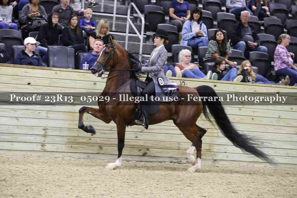 Proof Number 23R13_05029