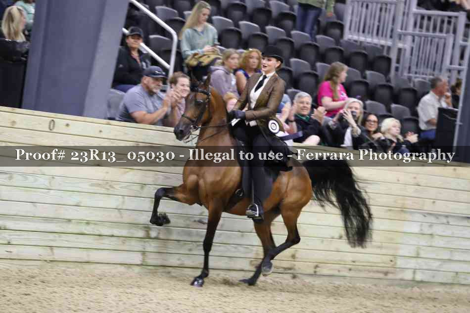 Proof Number 23R13_05030