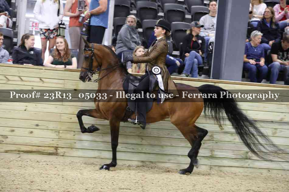 Proof Number 23R13_05033
