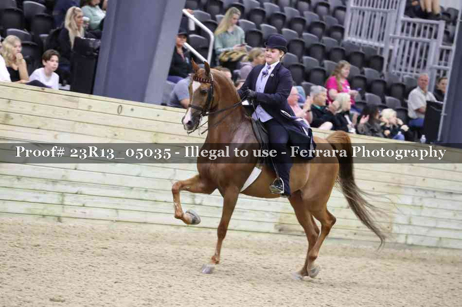 Proof Number 23R13_05035