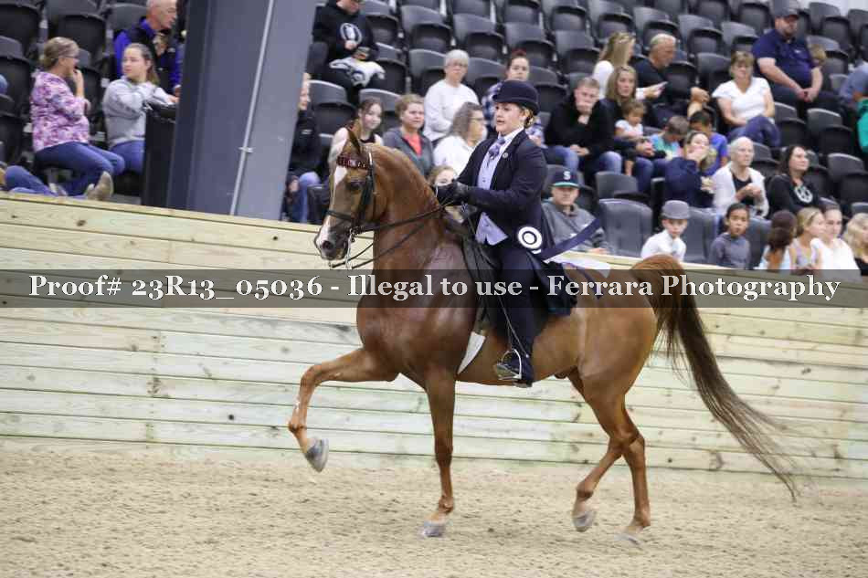 Proof Number 23R13_05036