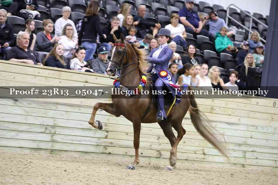 Proof Number 23R13_05047