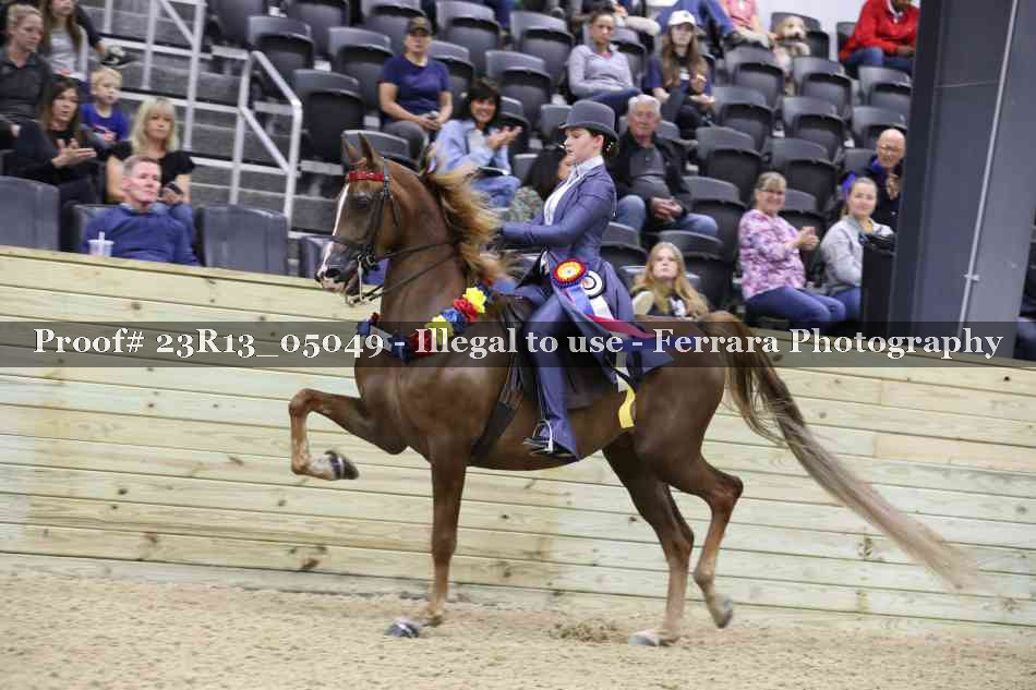 Proof Number 23R13_05049