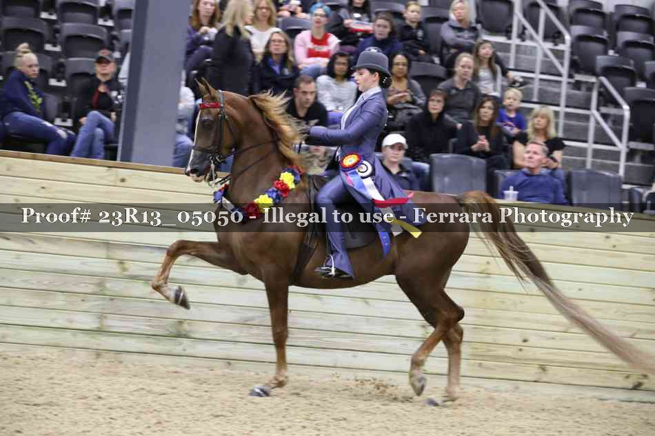 Proof Number 23R13_05050
