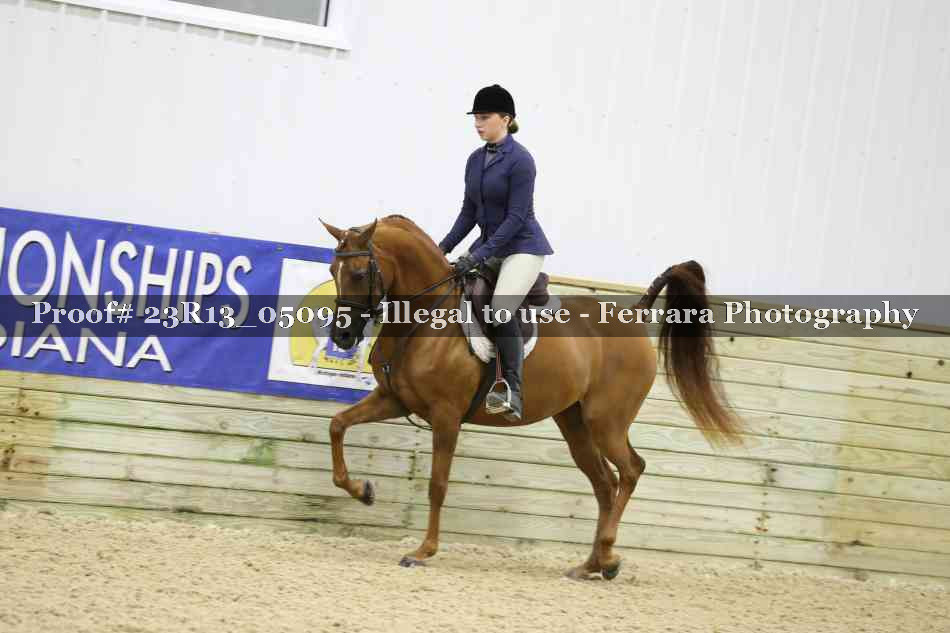 Proof Number 23R13_05095