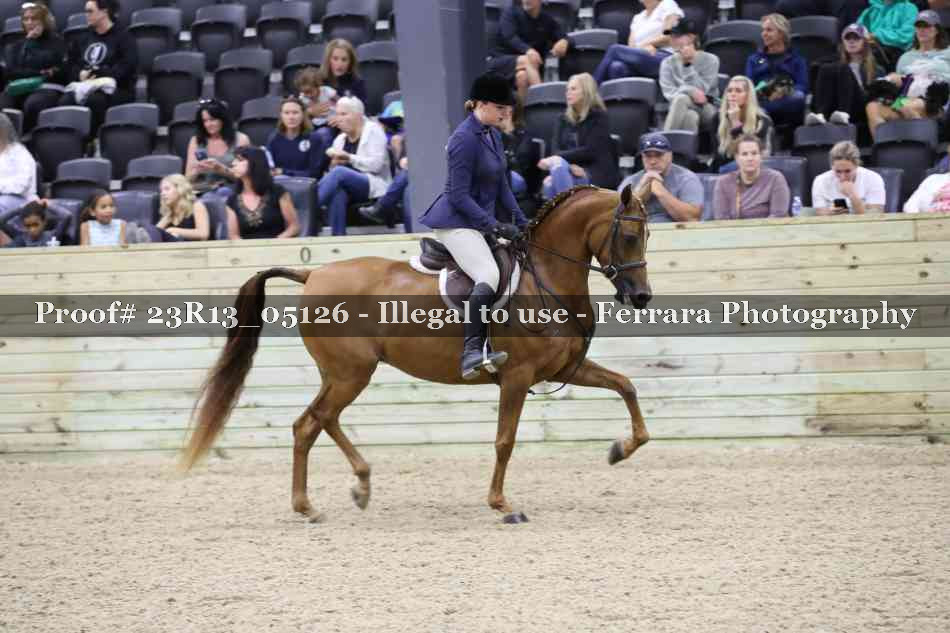 Proof Number 23R13_05126