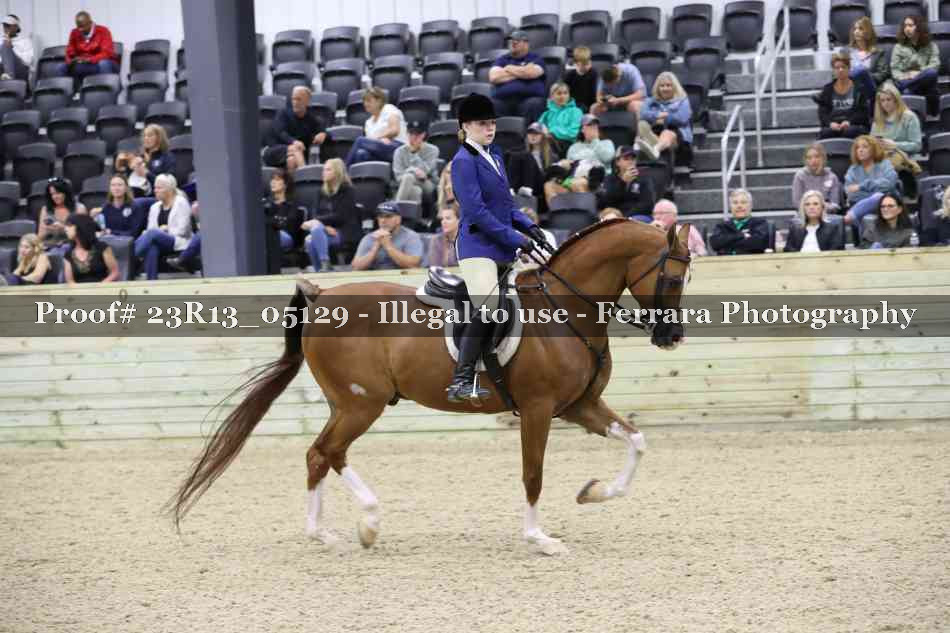 Proof Number 23R13_05129