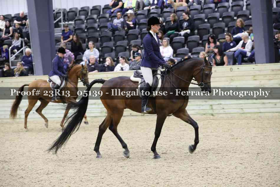 Proof Number 23R13_05139