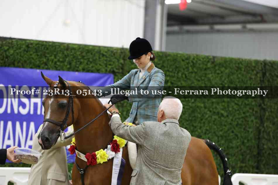 Proof Number 23R13_05143