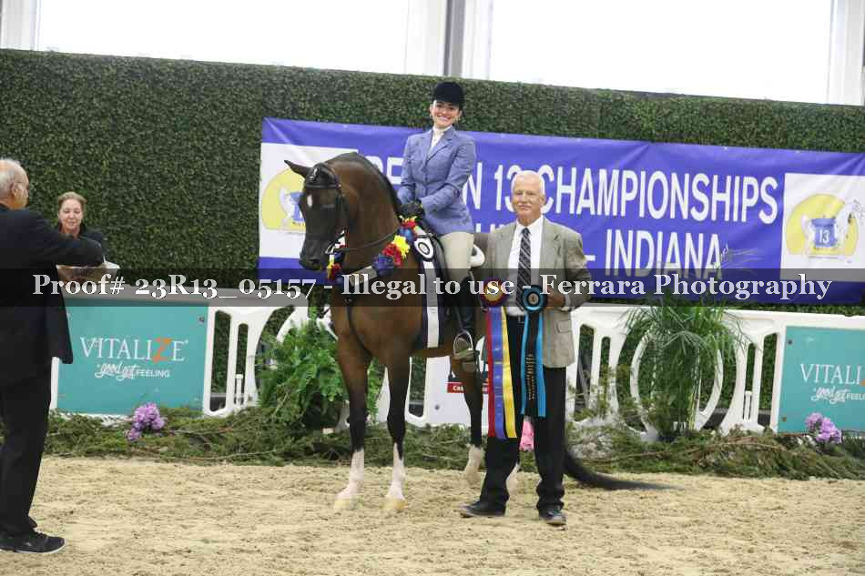 Proof Number 23R13_05157