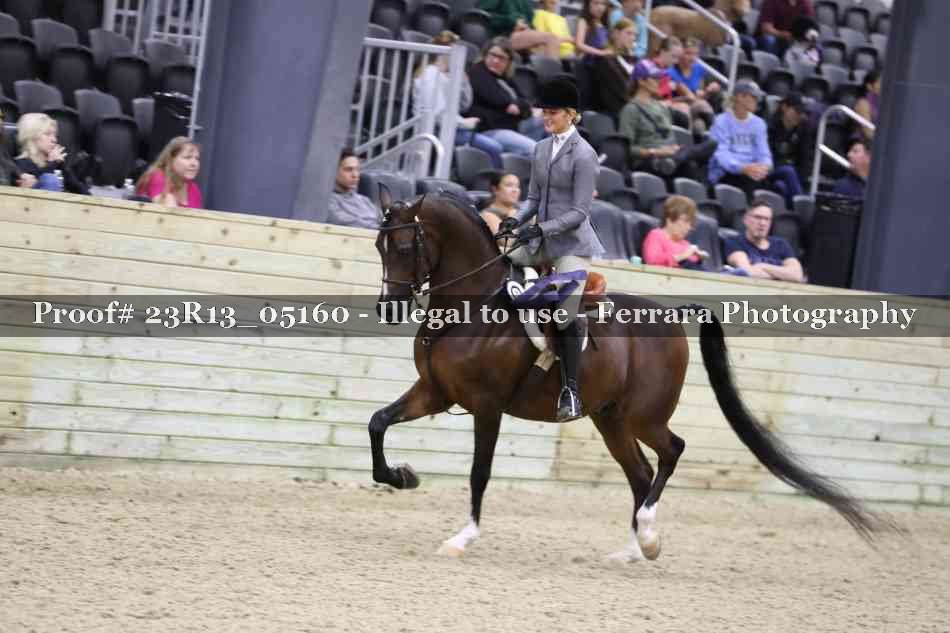 Proof Number 23R13_05160