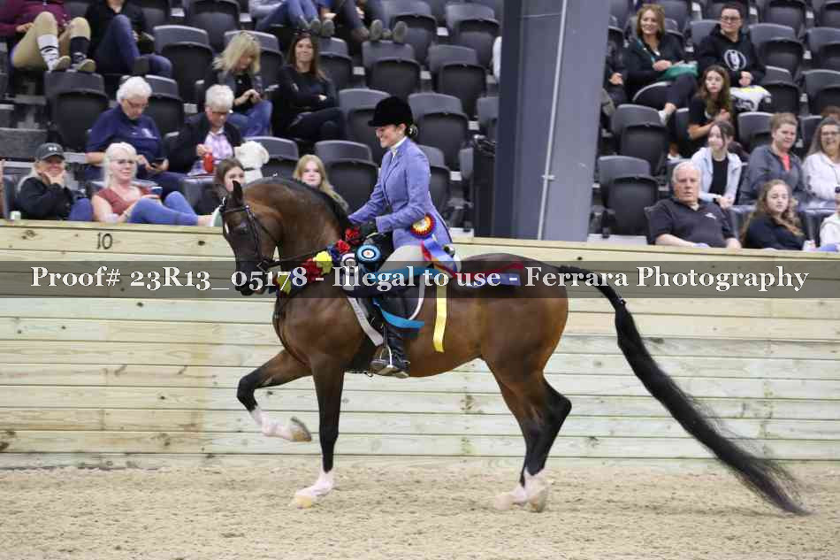 Proof Number 23R13_05178
