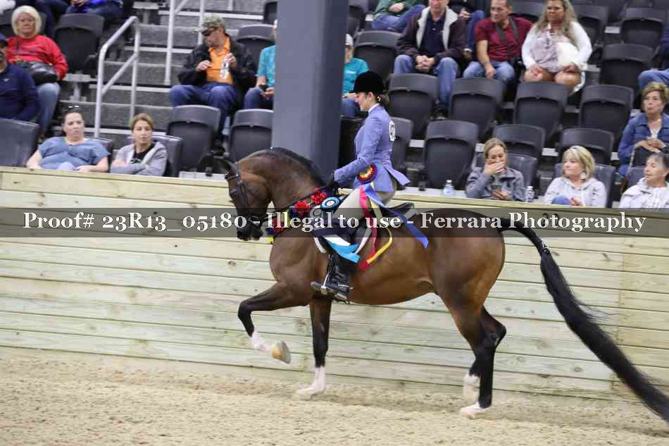 Proof Number 23R13_05180
