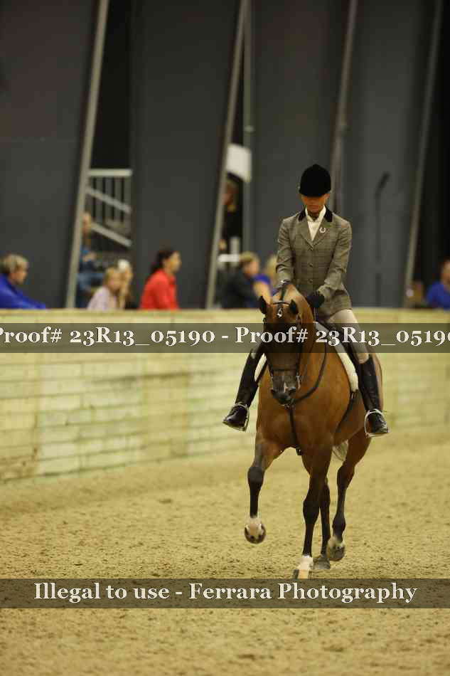 Proof Number 23R13_05190