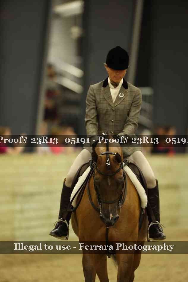 Proof Number 23R13_05191