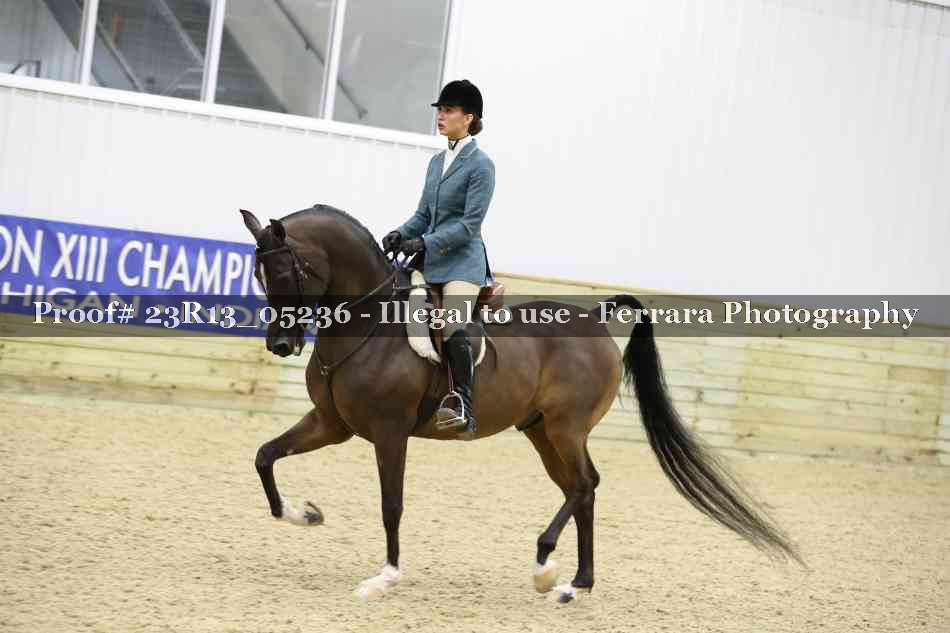 Proof Number 23R13_05236