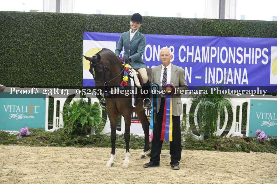 Proof Number 23R13_05253