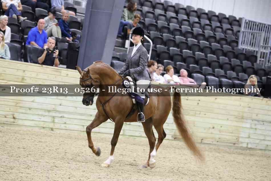 Proof Number 23R13_05261