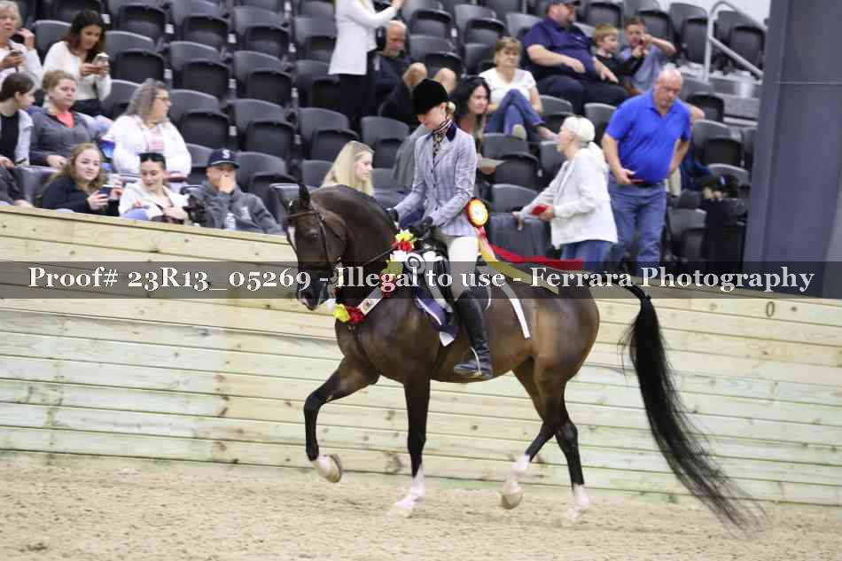 Proof Number 23R13_05269