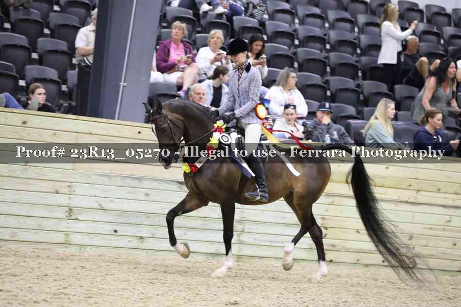 Proof Number 23R13_05270