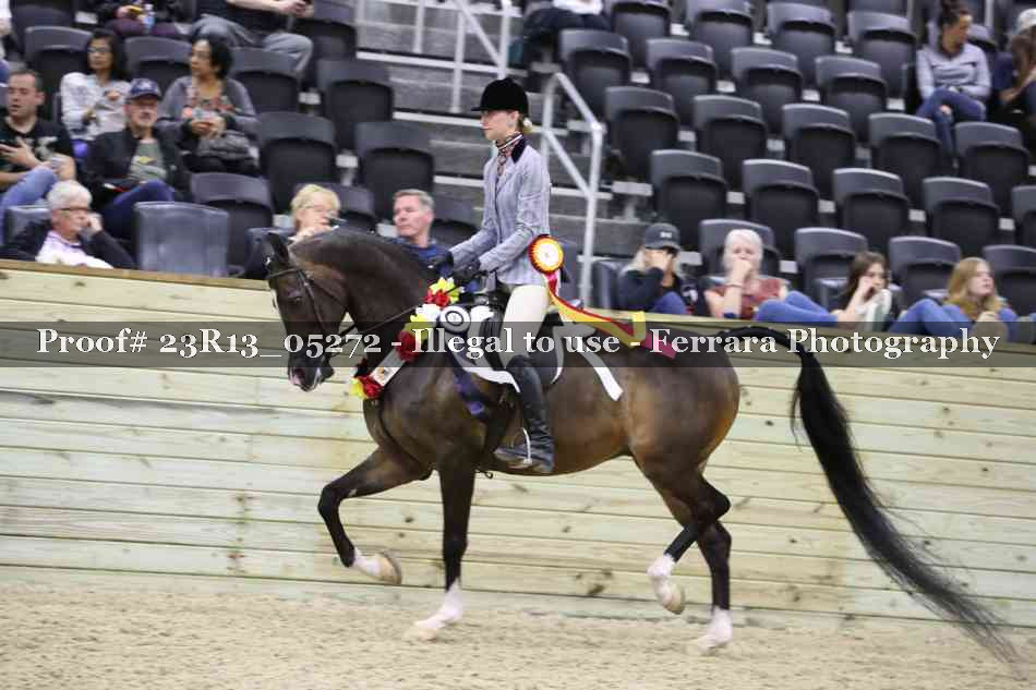 Proof Number 23R13_05272