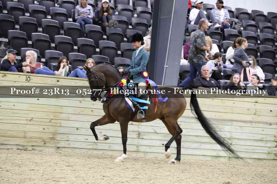 Proof Number 23R13_05277